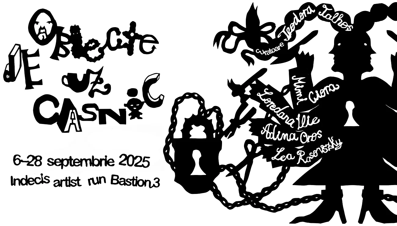obiecte de uz casnic expozitie