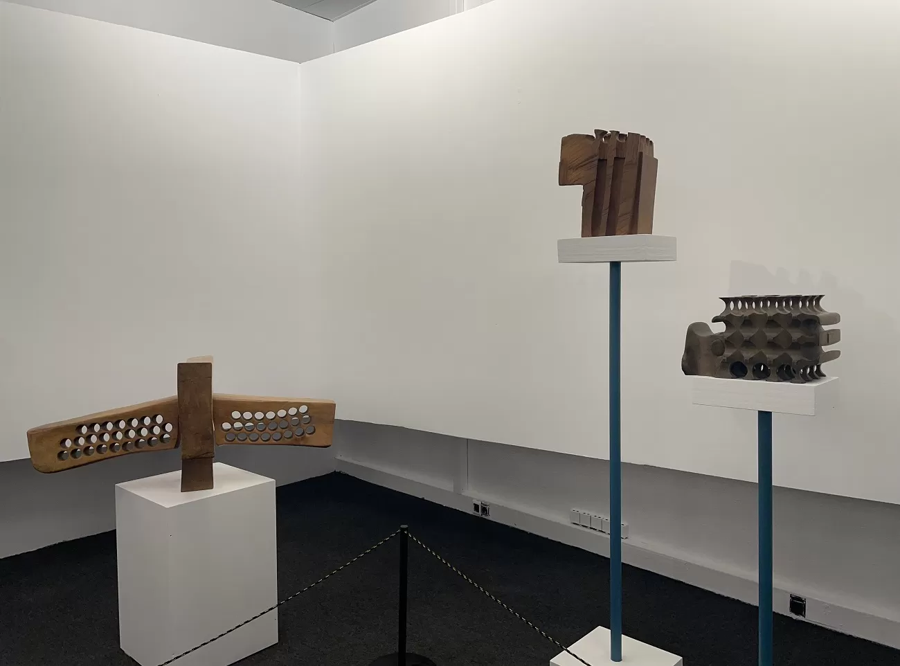 ovidiu maitec, art safari 2025, curatorial