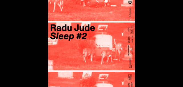 radu jude sleep #2