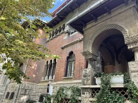vila sacha roman, galeria madrigal, curatorial