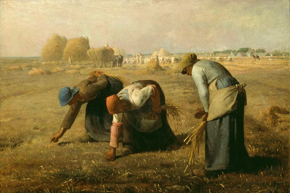 culegătoarele de spice, millet
