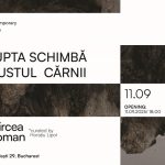expo mircea roman, iomo