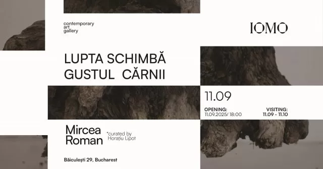 expo mircea roman, iomo