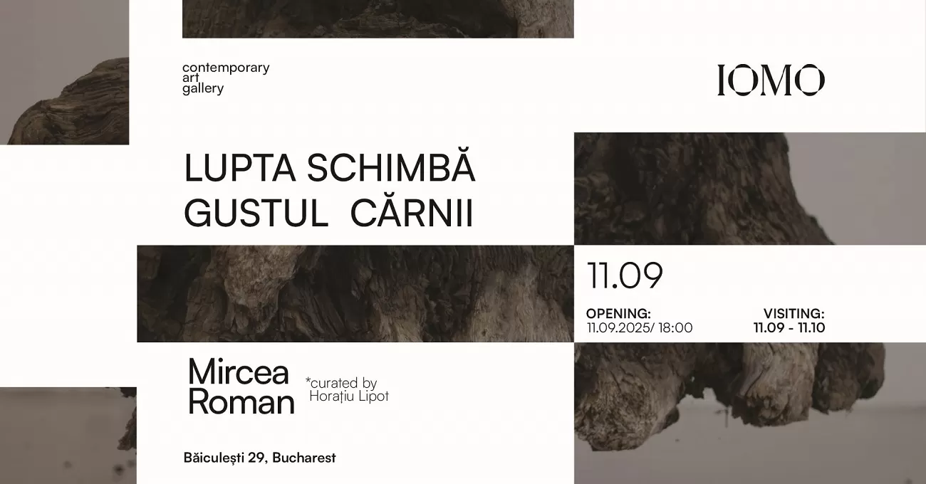 expo mircea roman, iomo