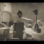 expoziție brancusi, colecția șandor