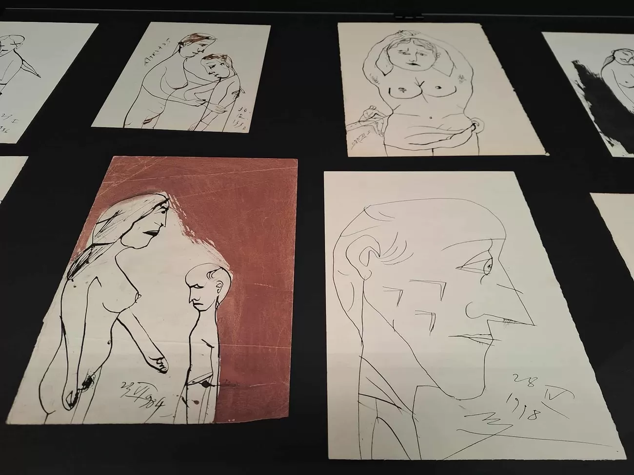 florin mitroi desene, curatorial