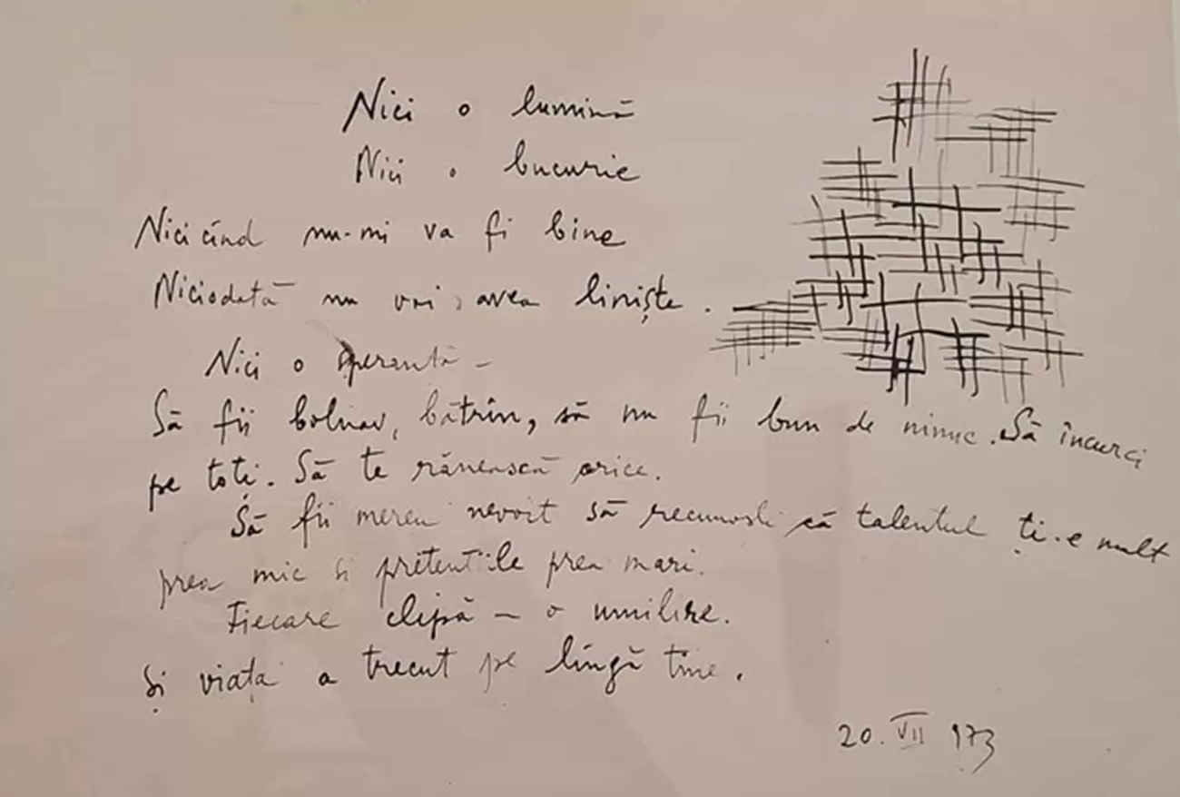 florin mitroi schite, curatorial