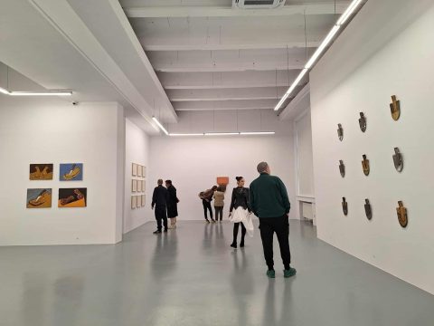 florin mitroi7, curatorial