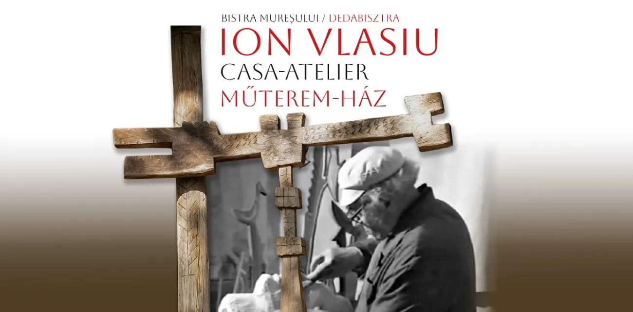 ion vlasiu
