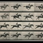 the horse in motion, eadward muybridge