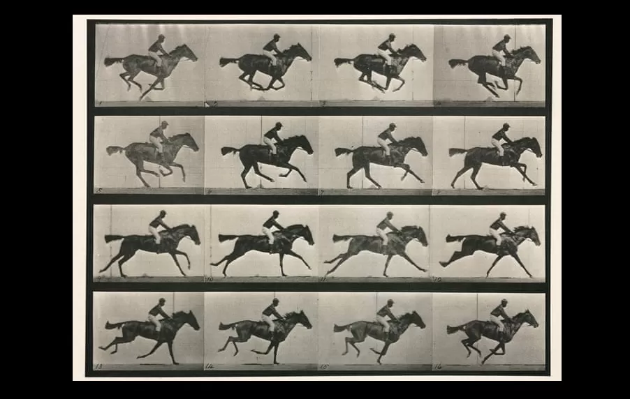 the horse in motion, eadward muybridge