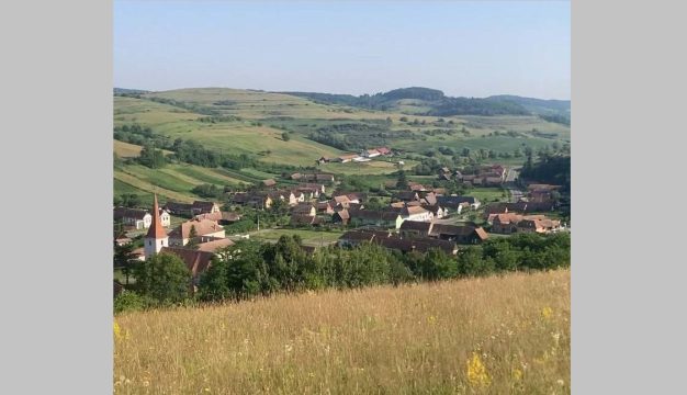 viisoara