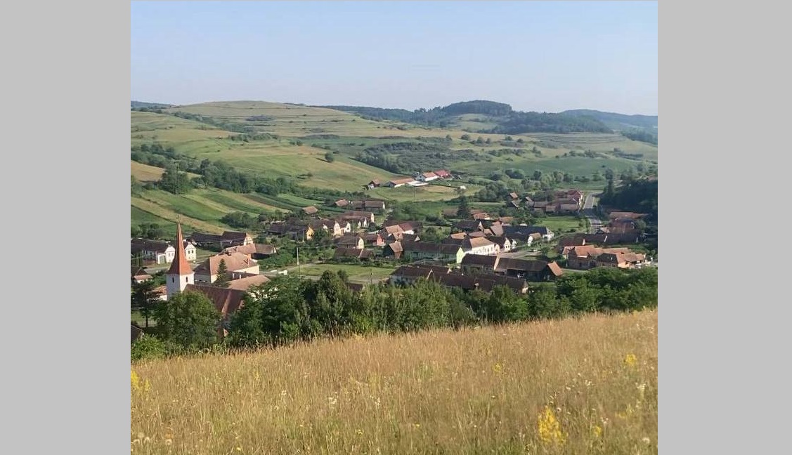 viisoara