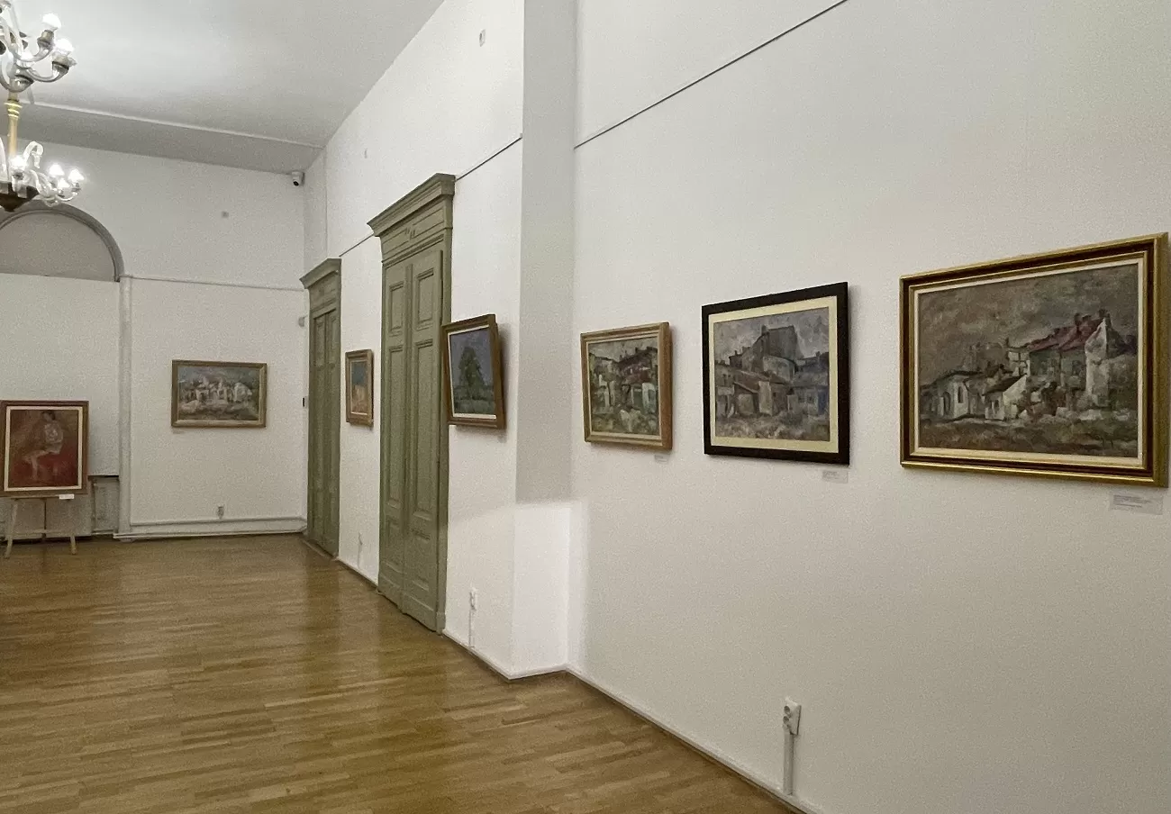 3 centenar marin petre constantin, palatul sutu, curatorial
