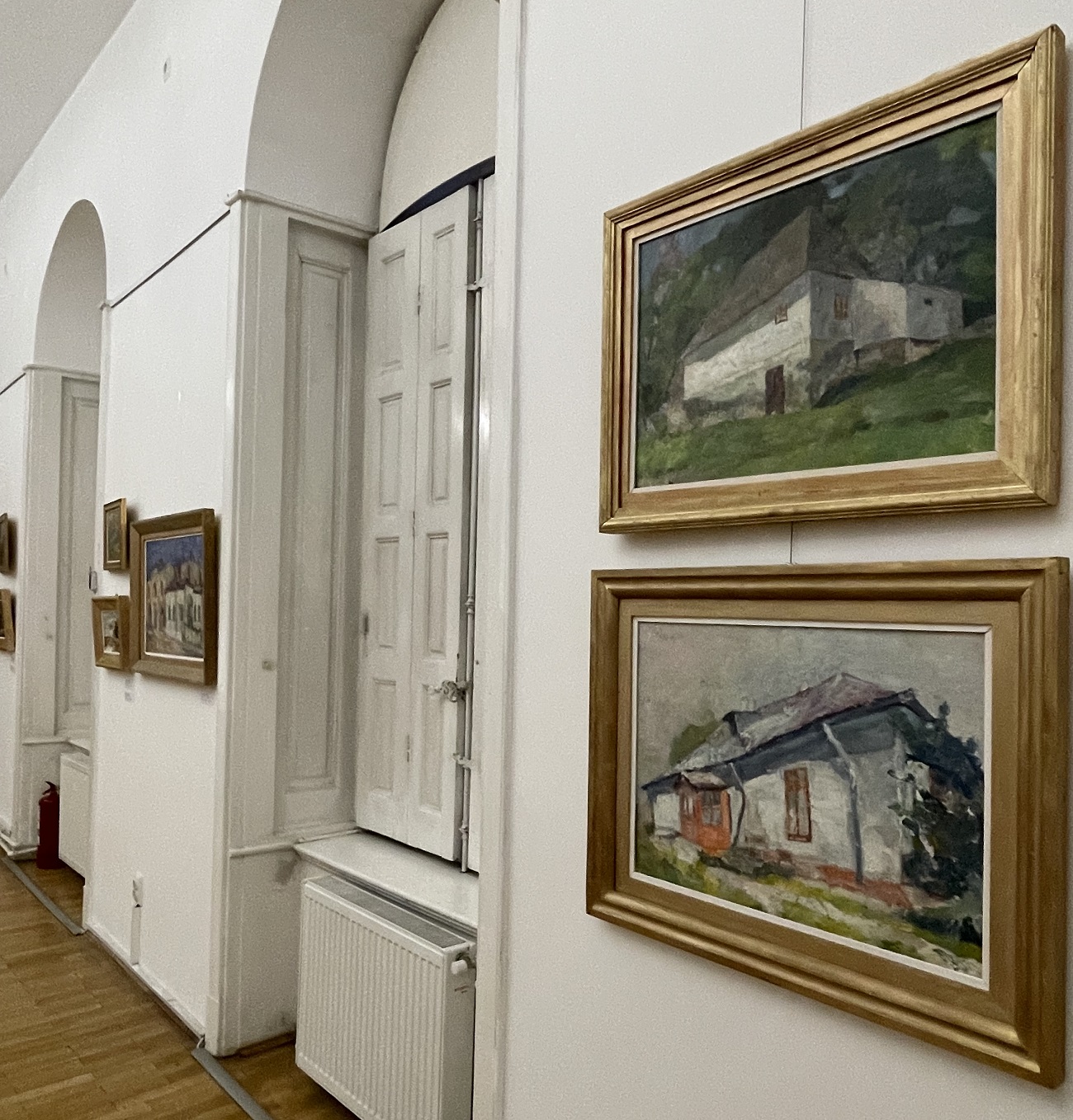 4 centenar marin petre constantin, palatul sutu, curatorial