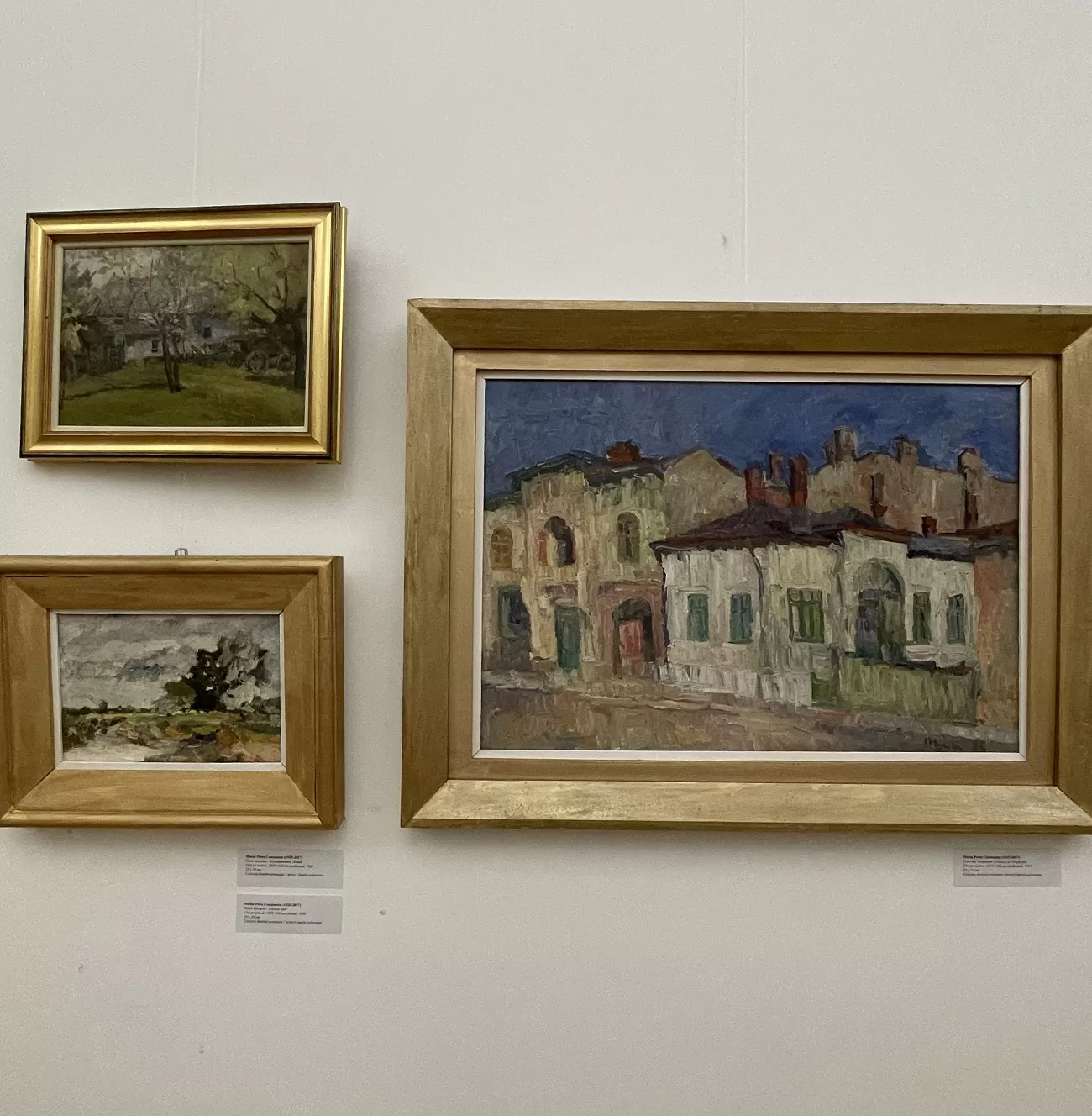 5 centenar marin petre constantin, palatul sutu, curatorial