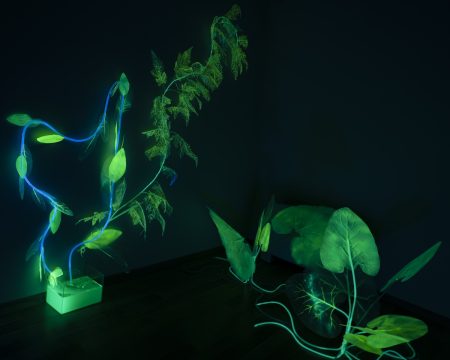 andreea medar syrinx 2