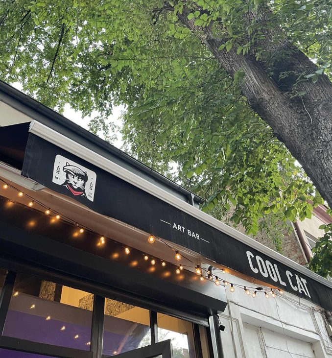 cool cat, art bar, layer gallery, curatorial
