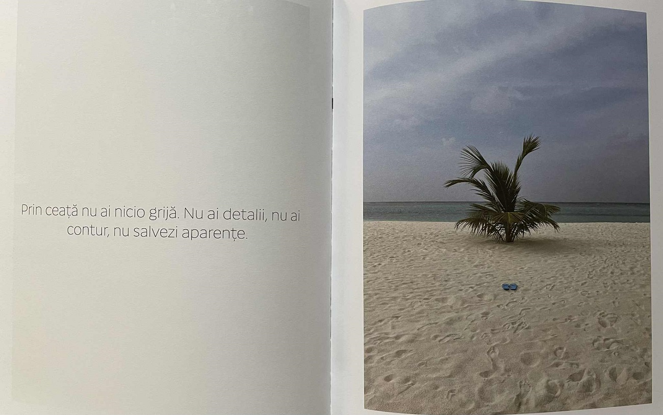 din priviri, de mihaela nicola; curatorial