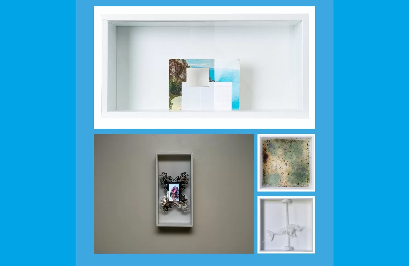 galeria dimensija