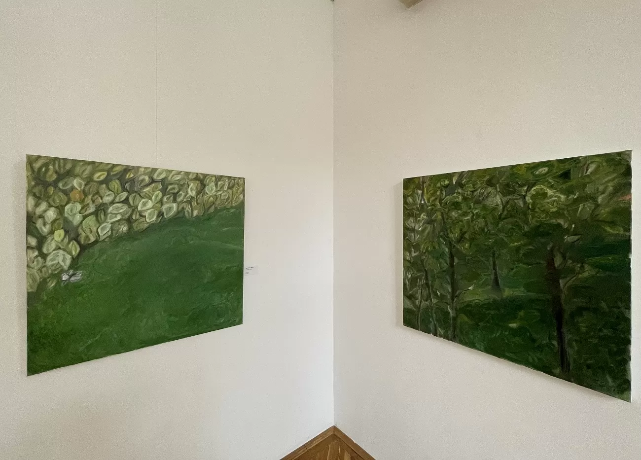 grădini, militza sion, galeria romana, curatorial