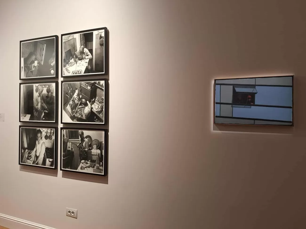 home5, curatorial