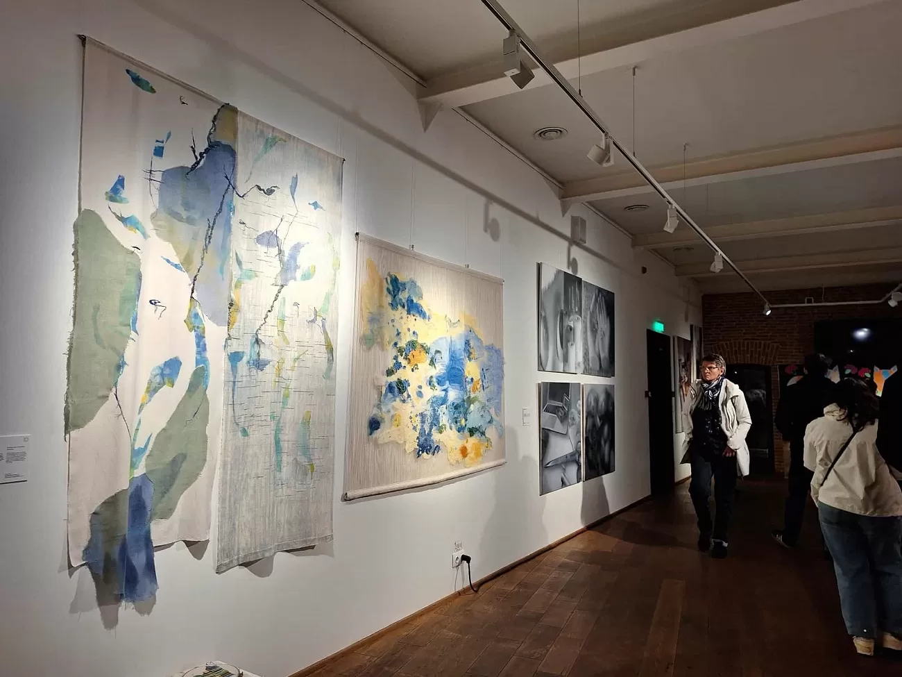 ioana ciuciulica, reparand lumea, diploma show9