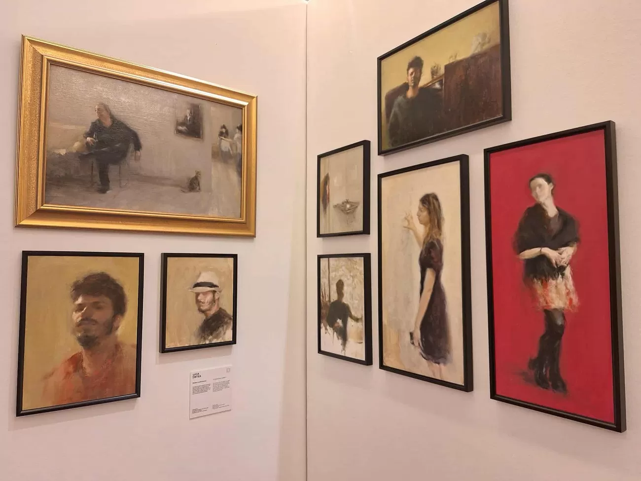 luca tintea, realism contemporandiploma show5