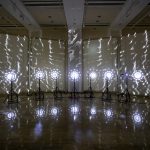 lumina noctis , credit foto rareș toma