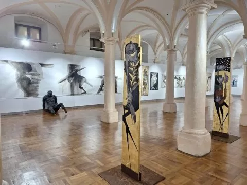 mahalaua paradis4, curatorial