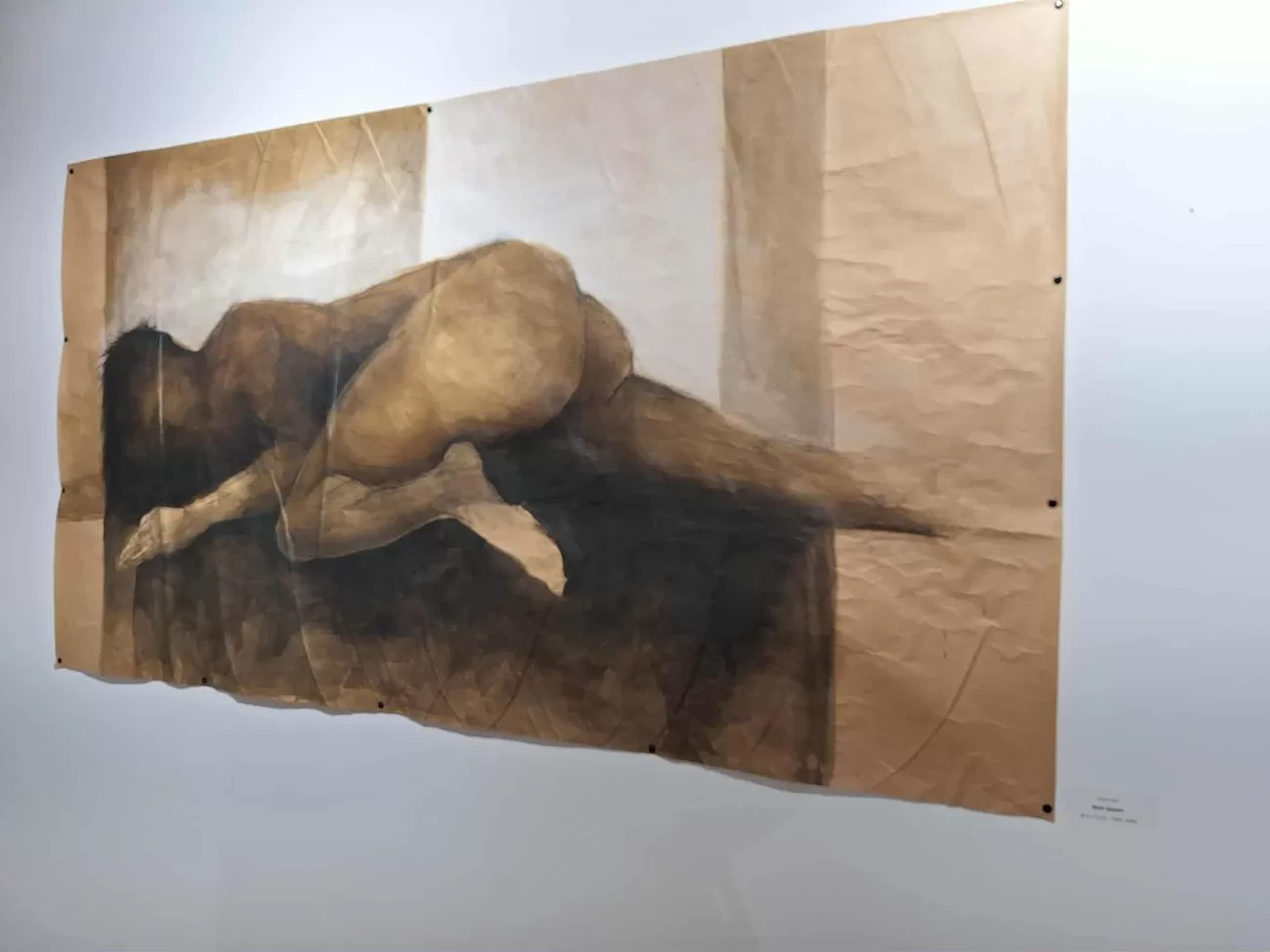 mahalaua paradis7, curatorial