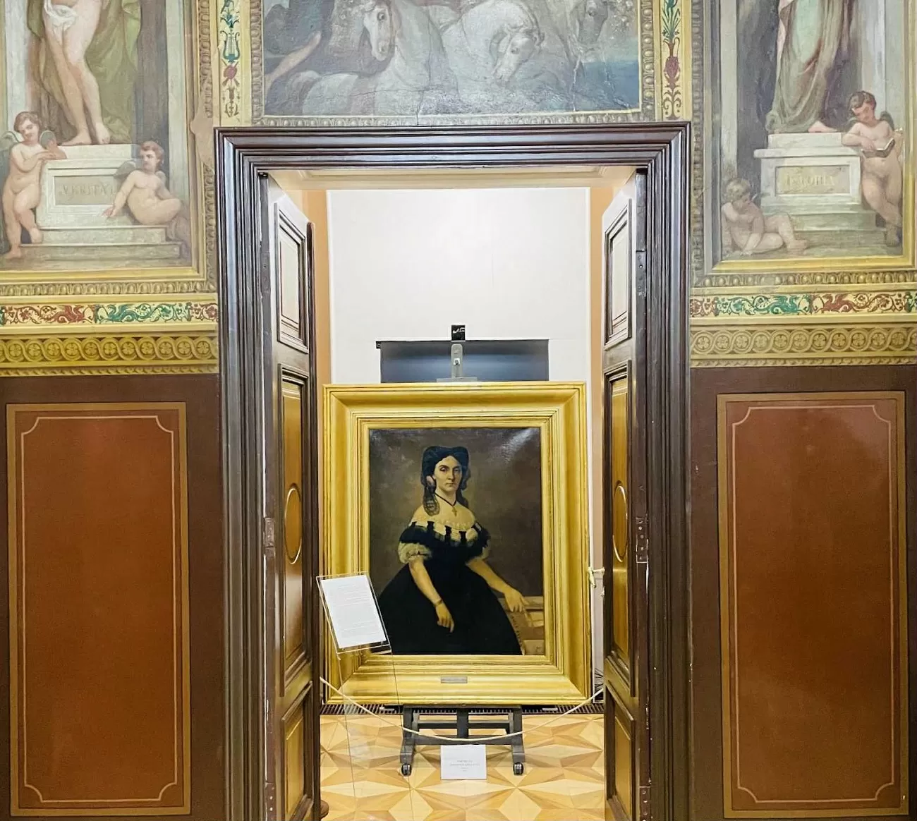 mari personalități, portret doamna elena cuza, theodor aman, curatorial