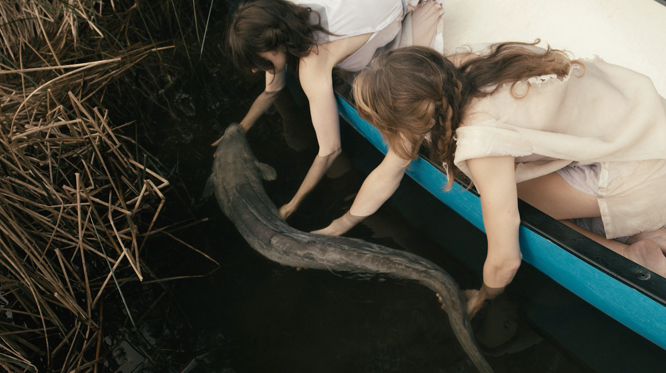miriam austin