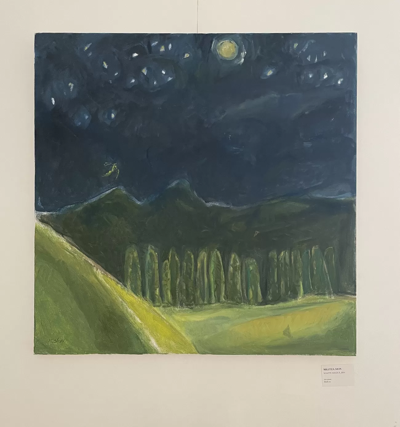 noapte magica, militza sion, galeria romana, curatorial