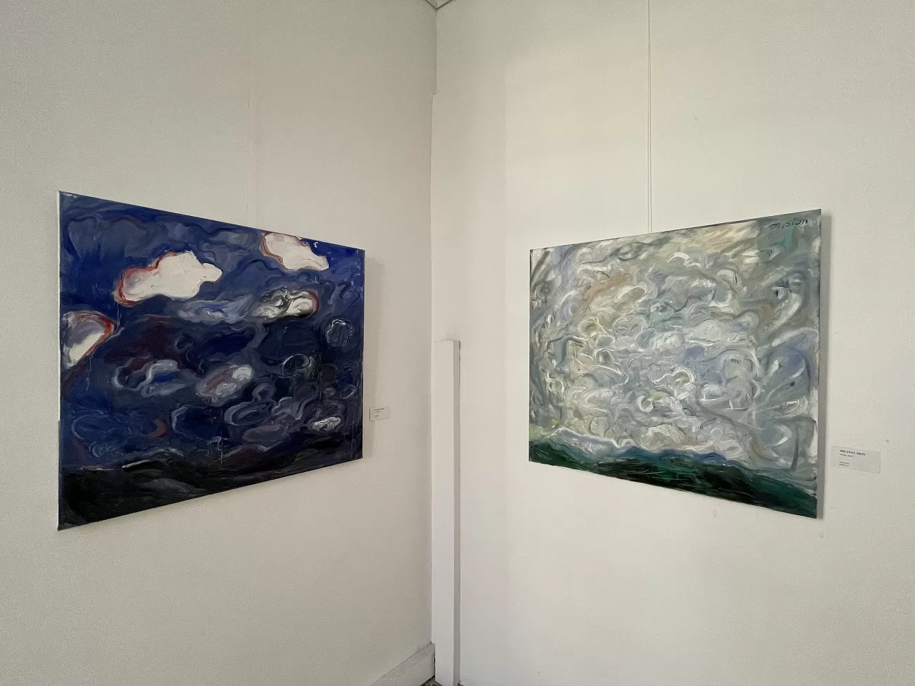 nori, militza sion, galeria romana 1, curatorial