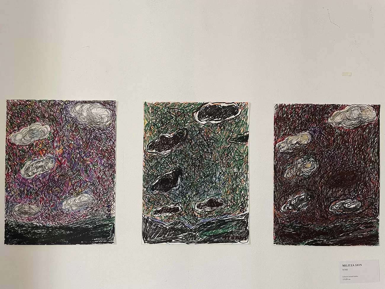 nori, militza sion, galeria romana 2, curatorial