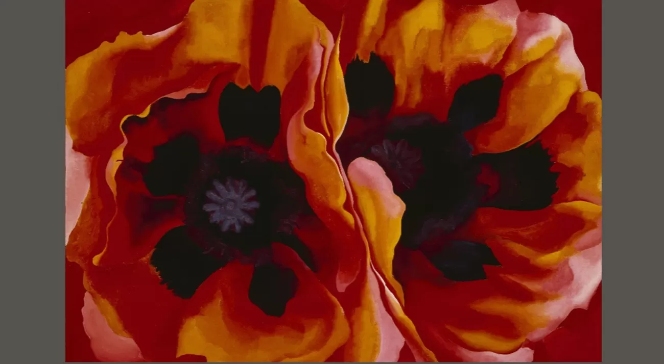 oriental poppies, okeeffe