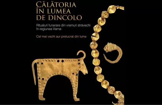 palatul sutu, afis expozitie varna