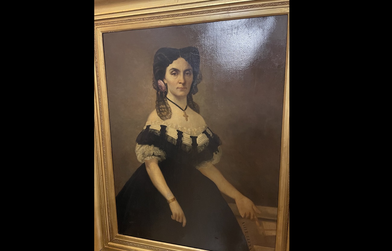 portret doamna elena cuza, theodor aman, curatorial