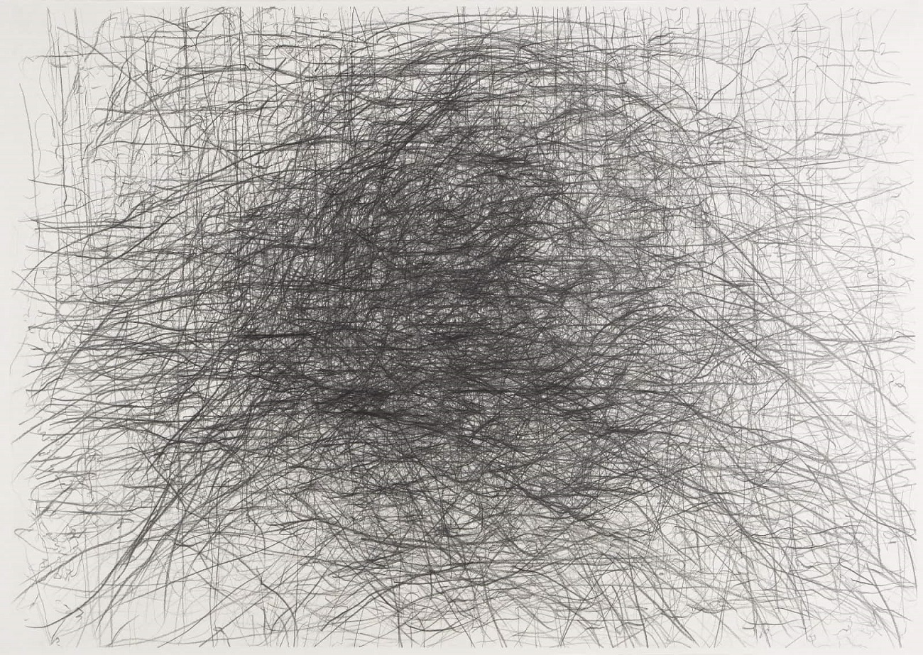 premiul iii mihai ciplea, tracing time, study on stalker tarkovsky iii, creion grafic pe hârtie, 70 x 100 cm