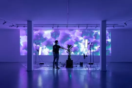 radu martin parasite