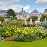 paris.,tuileries,garden.