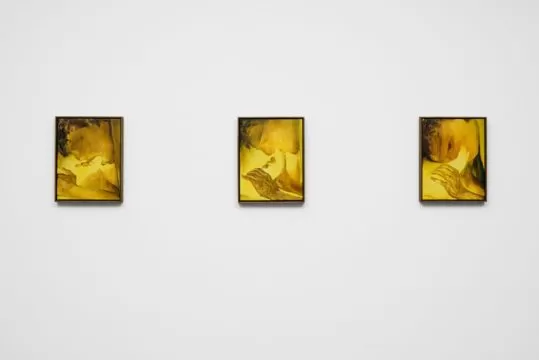 xie lei, nachtgesange sies hoke