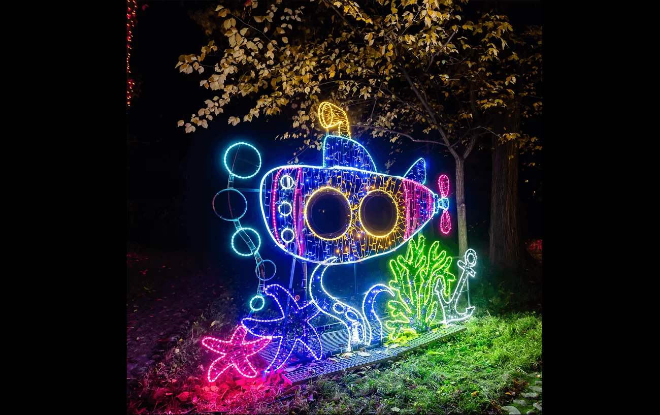 garden of lights