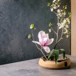 spring,ikebana.,floral,composition,with,spring,blooming,magnolia,and,plum
