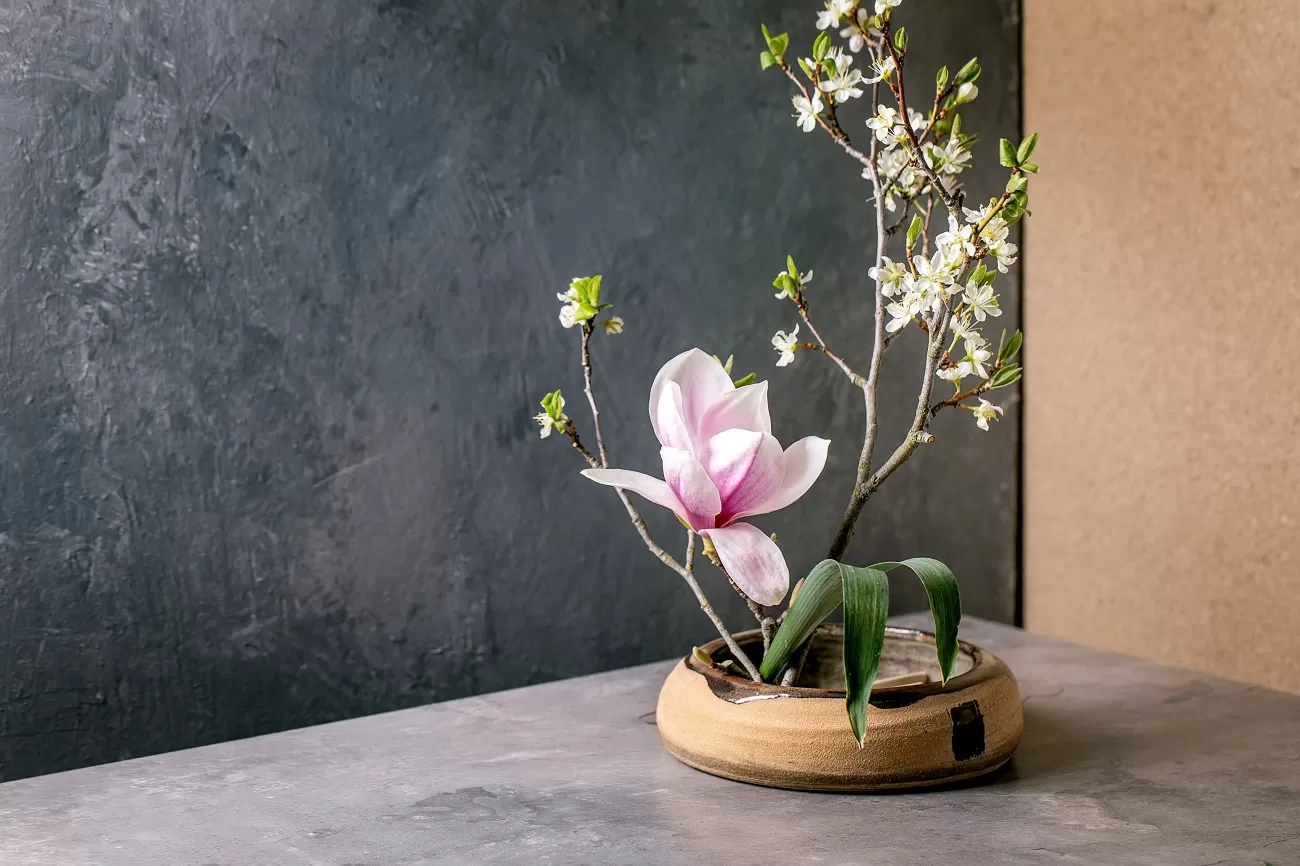 spring,ikebana.,floral,composition,with,spring,blooming,magnolia,and,plum