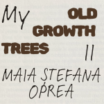 my old growth trees ii, expo, etaj