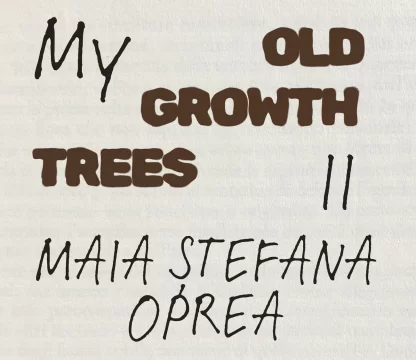 my old growth trees ii, expo, etaj