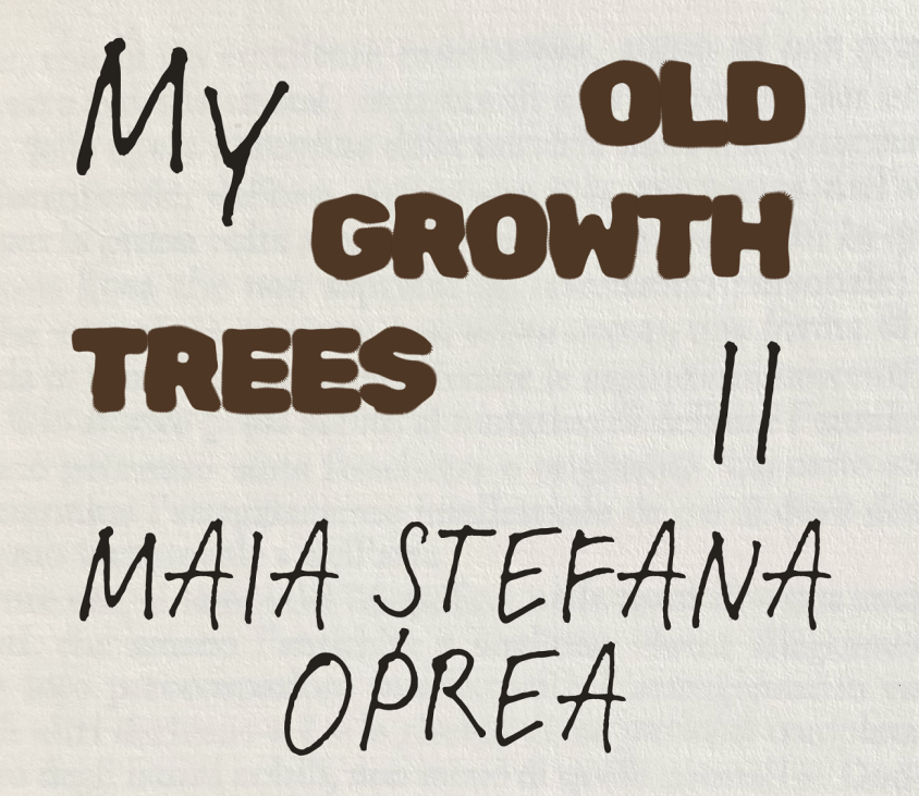 my old growth trees ii, expo, etaj