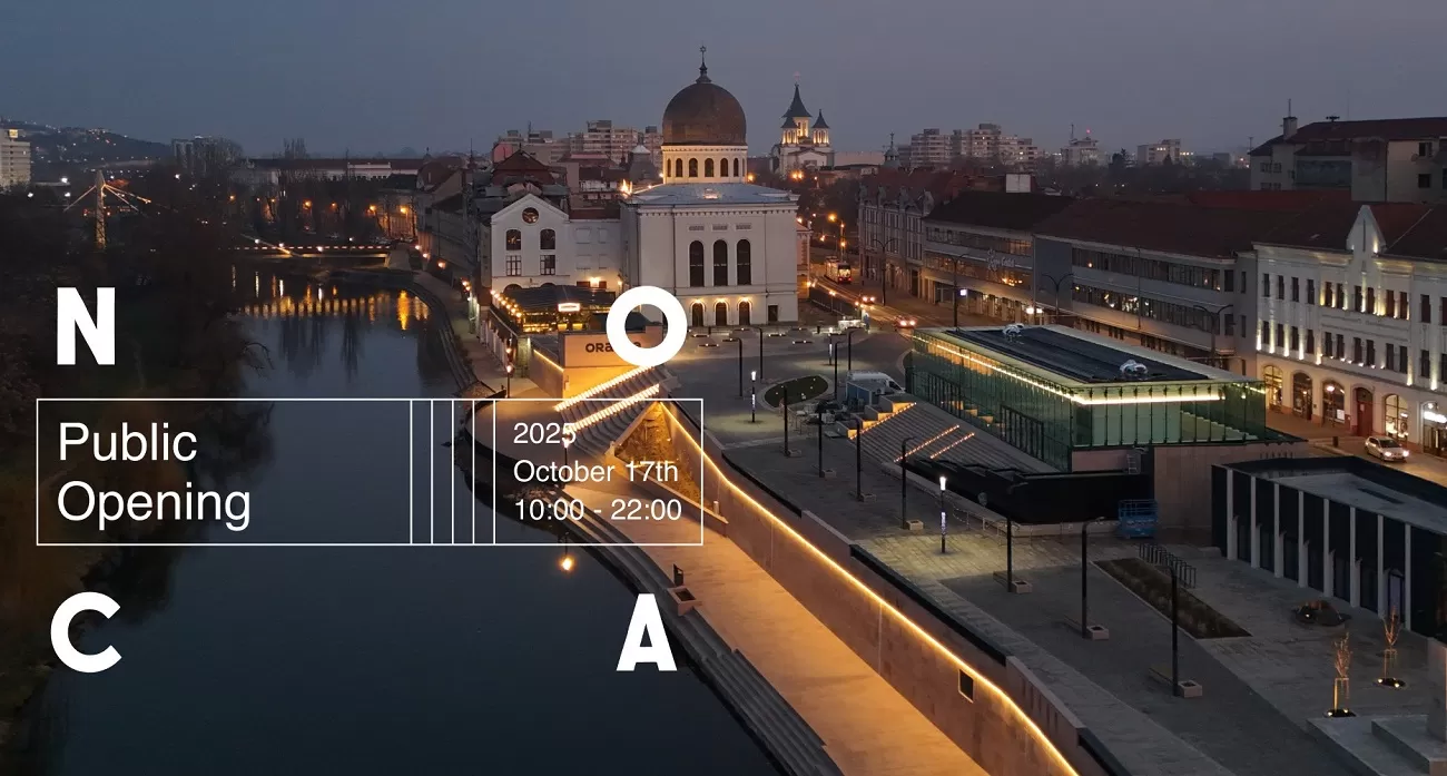 noca, new oradea contemporary art